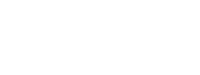 HISTOMER Professional